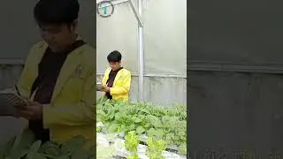 Praktikum Unit 1 Manajemen Agribisnis di Usaha Agribisnis Mulyo Hidrofarm, Kota Batu Jawa Timur