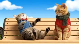 MaMa Cat Family &ndash; New Year Special! | Funniest Chaos + Sweet Family Moments