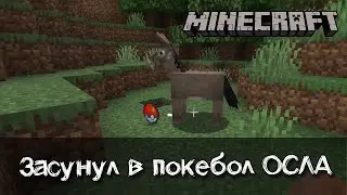 Бумеранг, покебол и другие крутые инструменты из мода Assorted Tools
