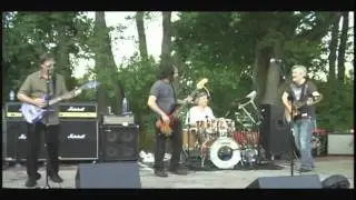 Todd Hobin Band -- Lawyers, Guns and Money (2011)