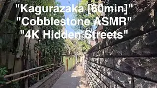 4K Kagurazaka Walking Tour  Hidden Streets, Temples & Local Food in Tokyo