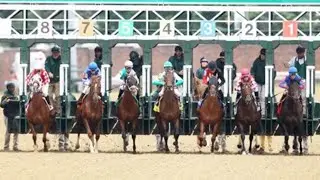 2021 Matt Winn Stakes