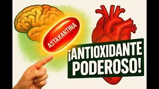 La ASTAXANTINA Puede Cambiar Tu Vida: 7 Beneficios Sorprendentes para tu Cuerpo