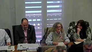 ELS PLENS MUNICIPALS - Ple Municipal 28 03 2025