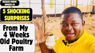 5 SHOCKING Surprises from My 4-Week-Old Poultry Farm!