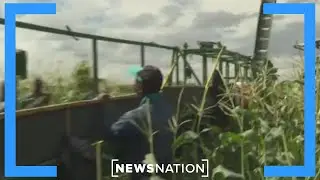 Tariffs &lsquo;very, very, very bad news&rsquo; for US agriculture: Farmer | Morning in America