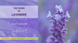C19 Lavender| Power, Messages, Symbolism and Activities