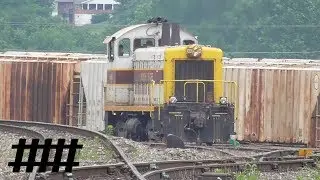 North Shore Switcher SW1500 446 Switching Freight Cars at Lewistown Yard in Lewistown, PA