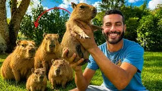 I RESCUED a BABY CAPYBARA to Add to the Ranch!