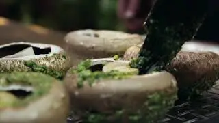 Portobello mushrooms with parsley pesto and goat s cheese