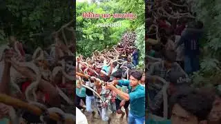 नागपंचमी #village #villagelife #nagpanchami #samastipur #viral #snake