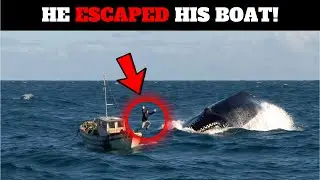 Fisherman Notices Something in The Ocean &mdash; Escapes Boat When THIS Appears!
