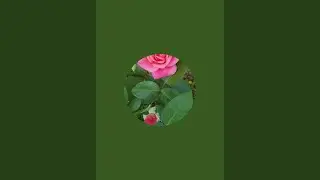 시간달리기합니다 감사합니다 고맙습니다