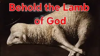 Lamb of God who takes away the sin of the world | 2nd Sunday in Ordinary Time Year A
