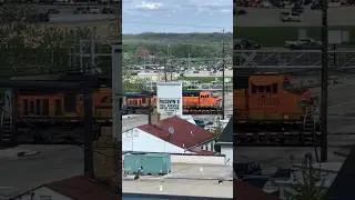 Is This Cool Or What?!  Motel View Of Norfolk Southern Railroad JawTooth shorts