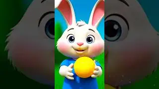 Bunny Question Game 🐰 | Alphabet S&ndash;T | Kids Shorts #kidseducatio #childrensbook #kidsvideo