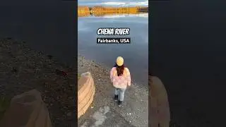 Explore the beauty of Chena River State Recreation Area in Fairbanks, Alaska, USA🇺🇸#travel #alaska