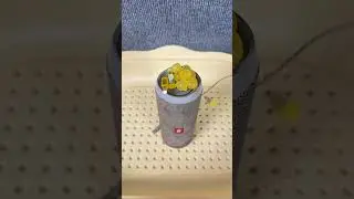 JBL FLIP4 TEST WITH MINI TOY EP10