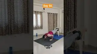 Day 56 | 90 Days Fitness Transformation Challenge | Upper Body Focus