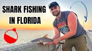 Shark Fishing on the Sunshine Skyway Fishing Pier | Family Vacation 2025