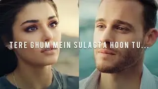 Hande er&ccedil;el kerem bursin  || New Sad Urdu Shayari Video  💓 #handeer&ccedil;el #kerembursin #edser