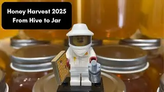 Honey harvest 2025 From Hive to Jar