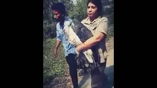 Bird rescue
