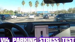TESLA FSD V14 parking stress test