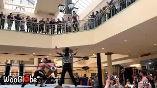 PJ Hawx Wrestler Dives From Second Story of Mall into Ring