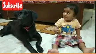 cute baby sharing food with dog #germanShepherd #Labrador #mastitimewithsophie #trending
