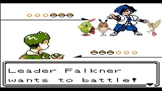 POKEMON POLISHED CRYSTAL - GYM LEADER FALKNER
