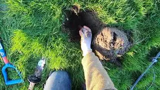 Deus 2 HF2 and Manticore in the park. Huge coinball found!!