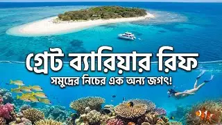 Great Barrier Reef & Lady Musgrave Island Tour 🇦🇺 | Catamaran Cruise | Glass Bottom Boat | Bengali