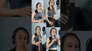 Around the world with 5 recorders!