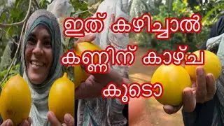 Let's decide whether to keep one or not || Abiyu vilaveduppe || #kerala