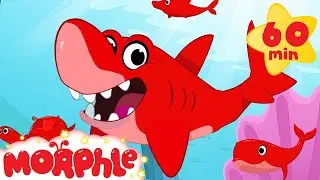 Shark, Dolphin, Turtle, and Whale Morphle shorts +1 hour Morphle kids compilation)