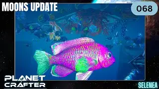Moons Update - S1E68 - Jetzt mit Fisch und endlich freier Atem