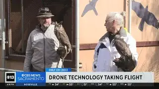 UC Davis to build bird flight research center