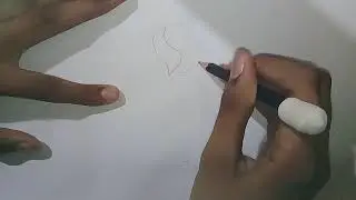 Jonas desenha o   venou