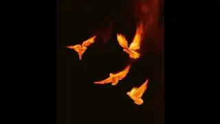 [Free] Chill Boom Bap Rap Beat | Freestyle Beat | Freedom