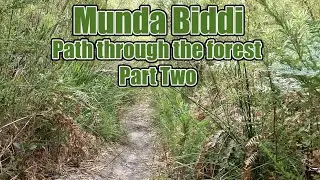 Munda Biddi: Path Through The Forest Part 2