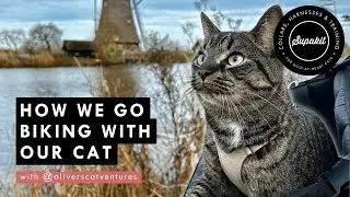 Biking With Your Cat &ndash; Supakit Community Experts