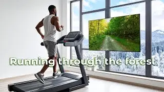 Virtual Run Through a Sunny Forest 🌳 20 Minutes of Treadmill, no sound