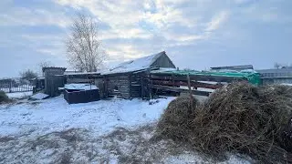 Наш сарай самый отвратительный? Как живут животные на зимовке в степях/горах? Каким будет наш сарай?