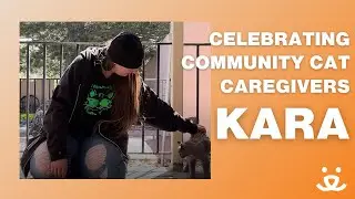 Celebrating Community Cats and Their Caregivers!