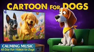 Dog Cartoon with Music: All-Day Anti-Boredom Videos for Dogs to Watch When Home Alone🎶Relaxing Music