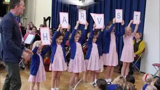 Harvest Festival 2019
