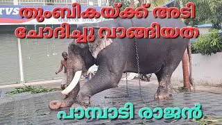 പാമ്പാടി രാജൻ തുംബികയ്ക്ക് അടി ചോദിച്ചു വാങ്ങിയത### pambadi rajan