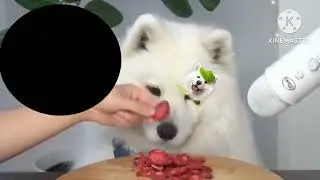mayapolarbear black hole add round 1