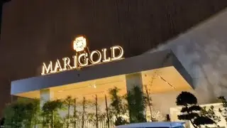 Marigold Regency Shirdi |Amazing Food & Affordable Rooms | A Luxury Stay in Shiridi #marigold#shirdi